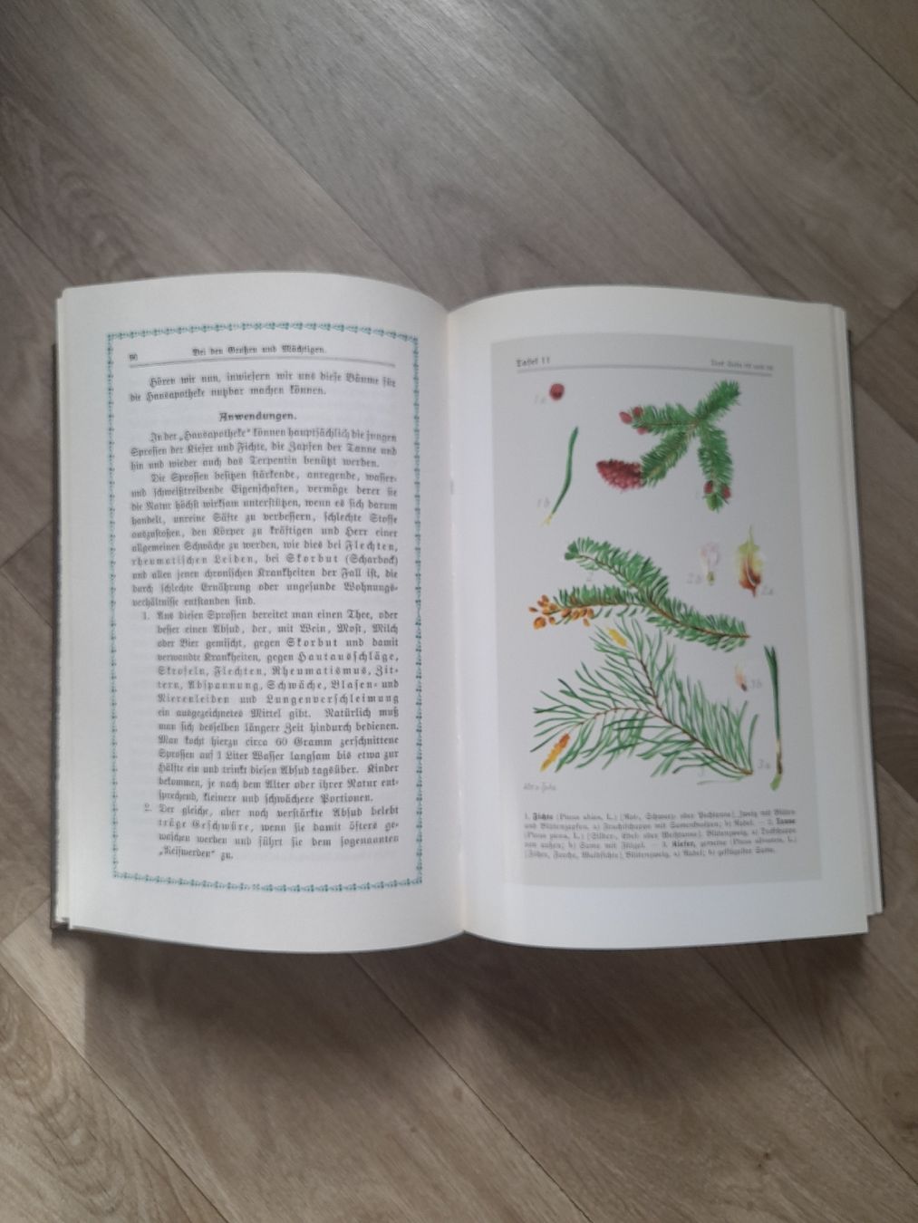 Bücher: Kräutersegen 1896 – Gebraucht aus Basel von Basel_20 2