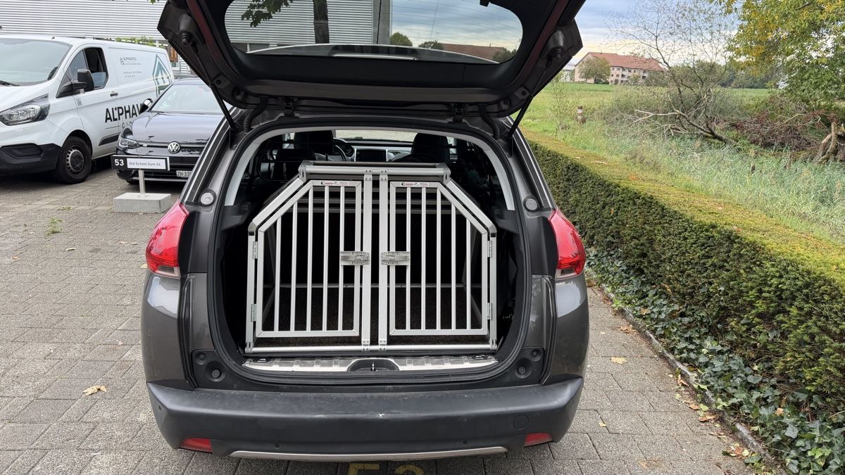 Gabbie, trasporto & Sicurezza: Auto-Hundebox – Usato da Volketswil venduto da urs-77