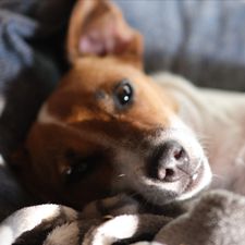Profile image of heidi.68