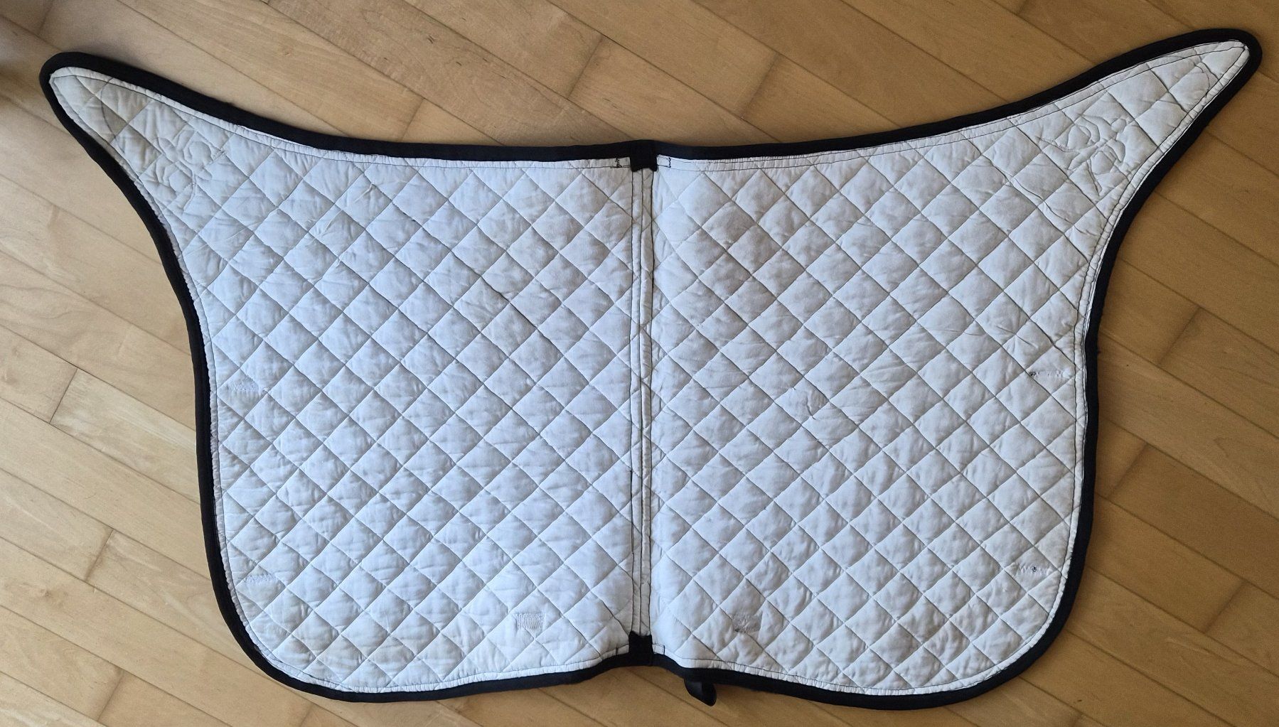 Selle & Accessori: Unikat Barock Schabracke – Usato da Höfen b. Thun venduto da Sandras776 5