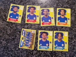 Panini WM 2026 CUW