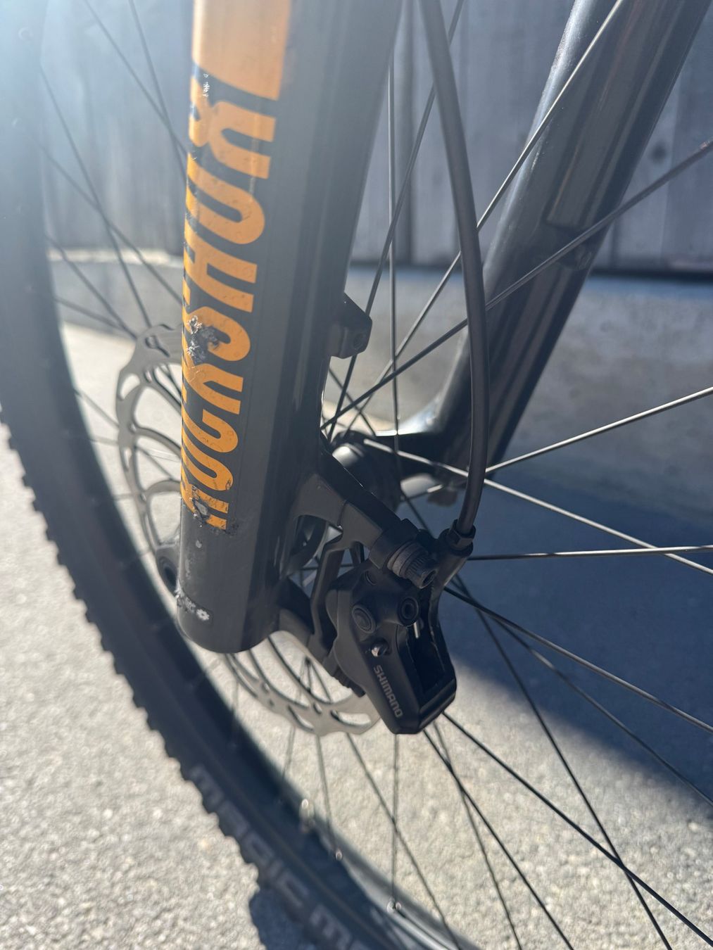 Scott Velos: SCOTT Genius eRIDE 930 Rahmengrösse M – Gebraucht aus Breil/Brigels von reni17 4