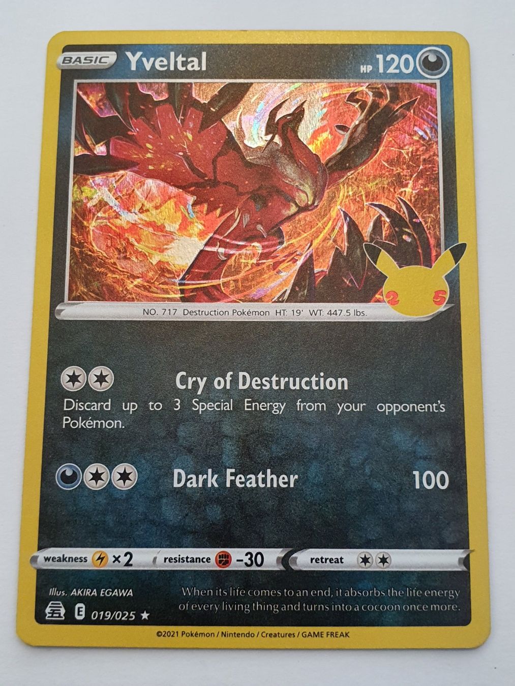 Pokémon Carte collezionabili: Yveltal / 2021 Pokémon / Holo – Usato da Oberdorf BL venduto da BaldenEagle