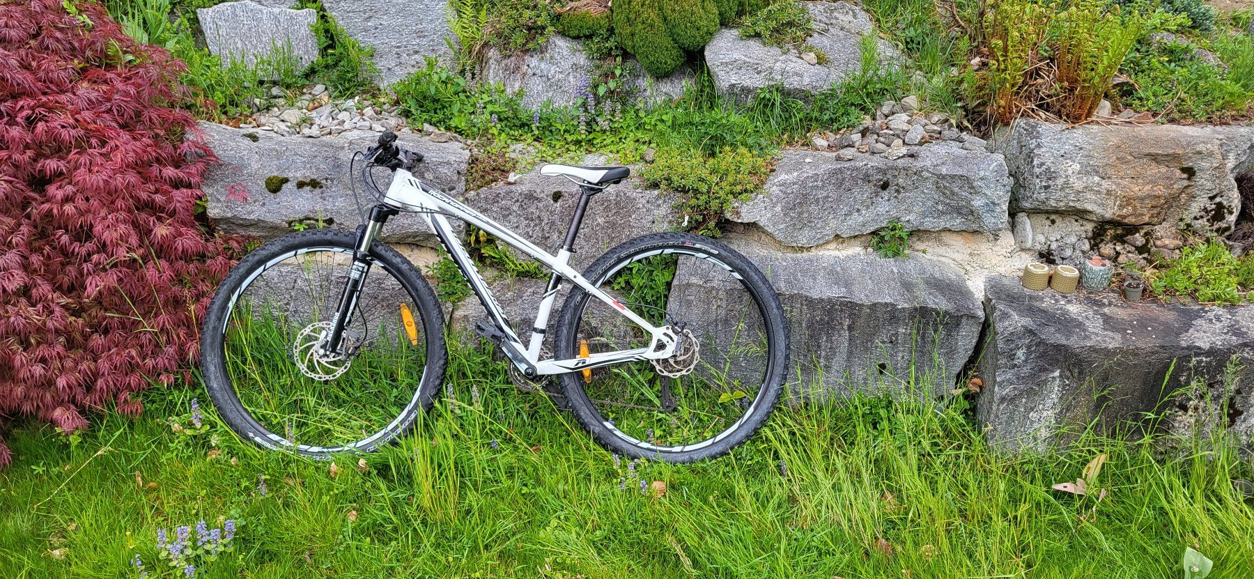 Specialized Velos: Specialized Rockhopper – Gebraucht aus Horw von