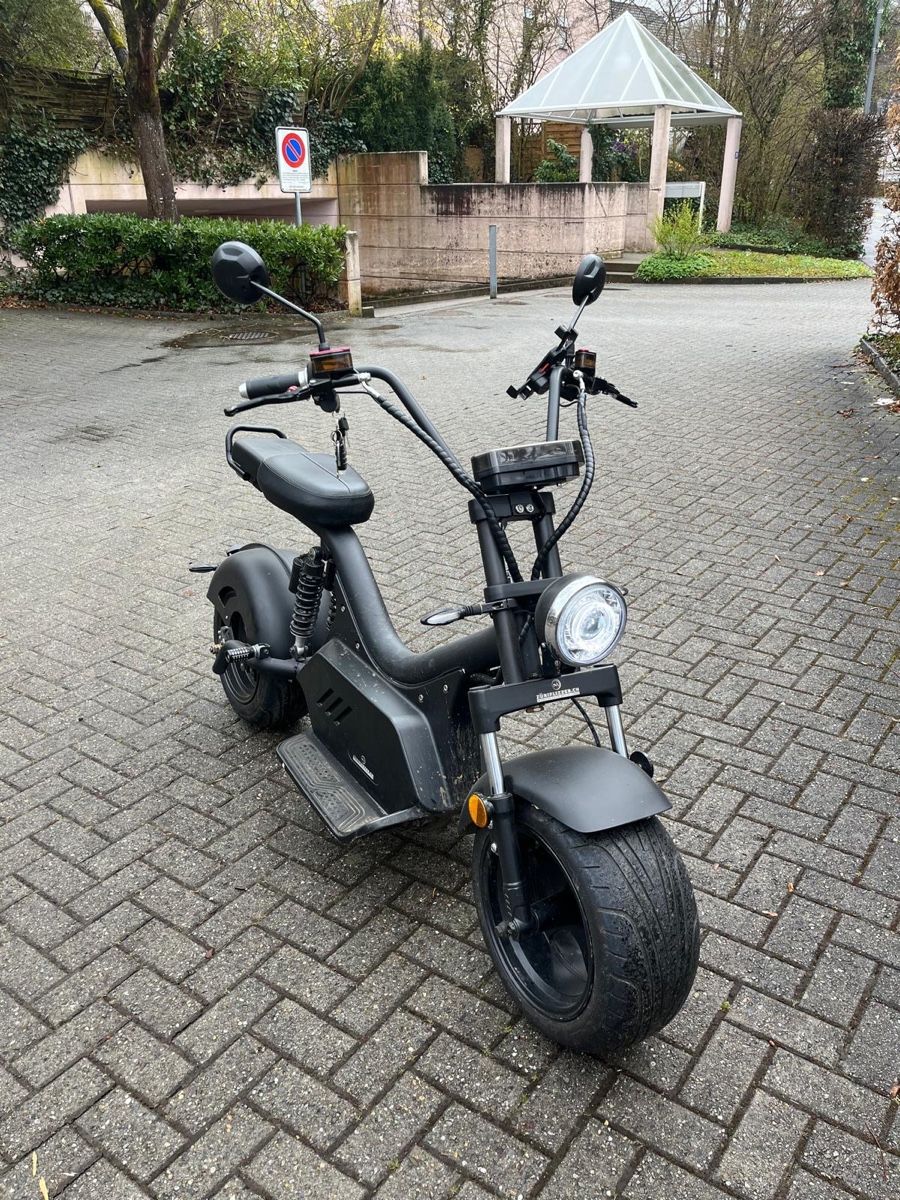Züriflizzer Scooters: Elektroroller – Gebraucht aus Adliswil von noe_9stw