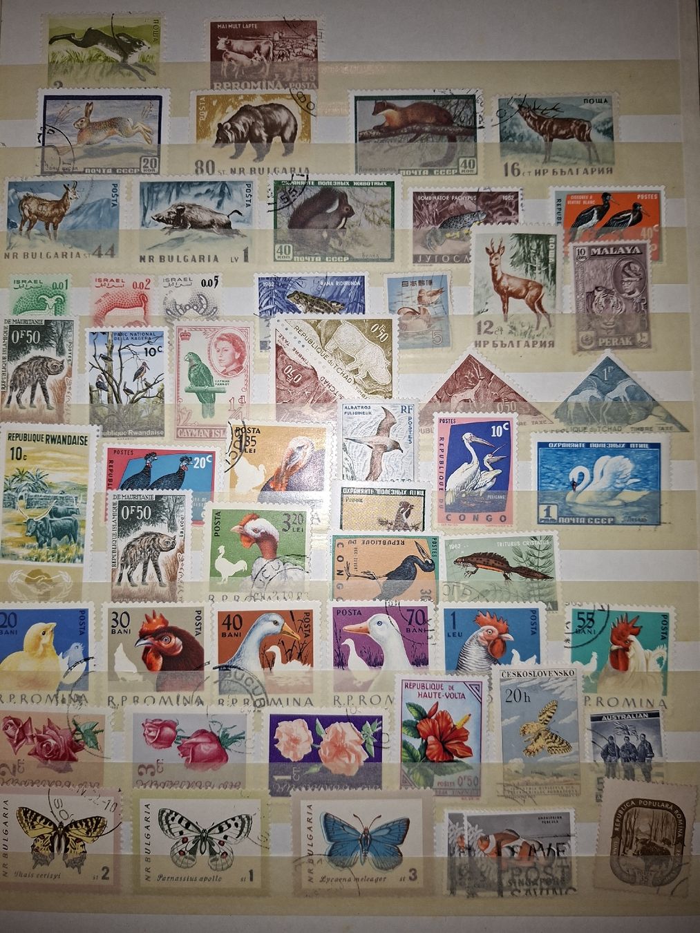 Alle Briefmarken: Album Ausland jnd diverses – Gebraucht aus Balgach von SIMEON27 9