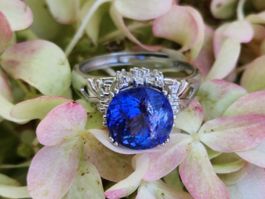 Einzigartiger grosser Tansanit Ring, Silber 925, ca. 55