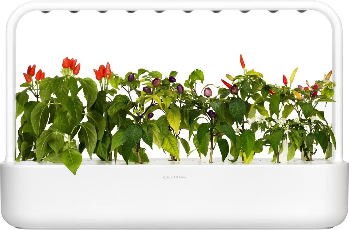 Altro: automatic Smart garden 9 click and grow – Usato da Zürich venduto da cel_k6gj