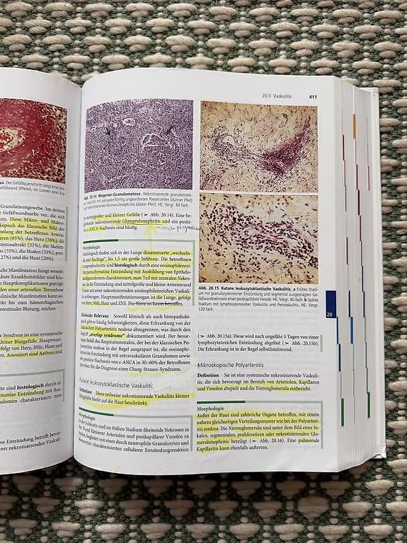 Bücher: Pathologie  – Gebraucht aus Luzern von jojo20202020 1
