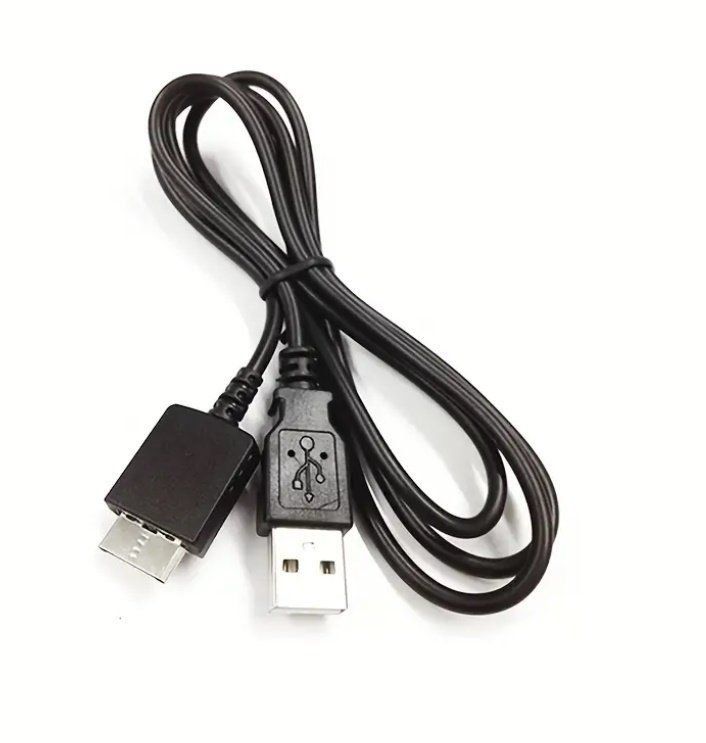 Adaptateurs & Câbles: Für Sony PSP GO - 2in1 USB Charging – Neuf (Voir description) à Nidau par EXP40