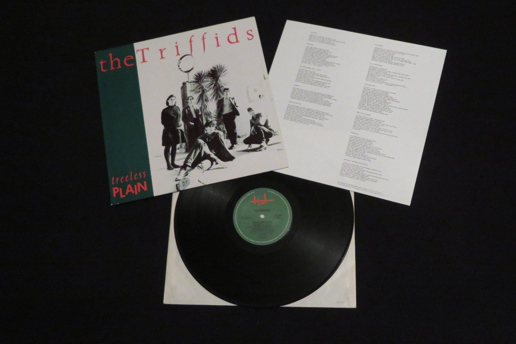 Schallplatten: THE TRIFFIDS Treeless Plain – Gebraucht aus Rüti ZH von cryptie66