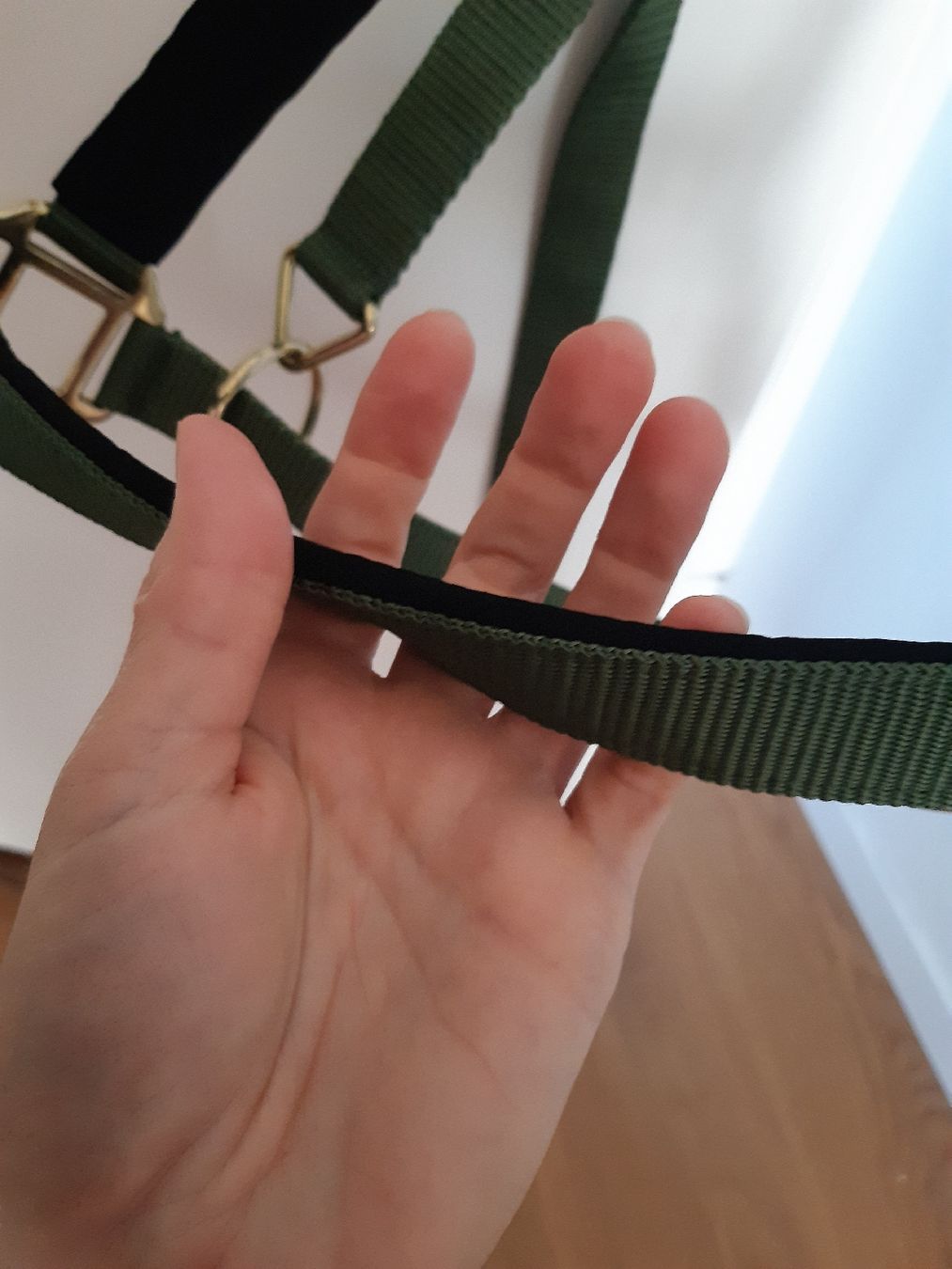 Zaumzeug & Halfter: halfter neu – Neu und originalverpackt aus Nebikon von Haidihooo 1