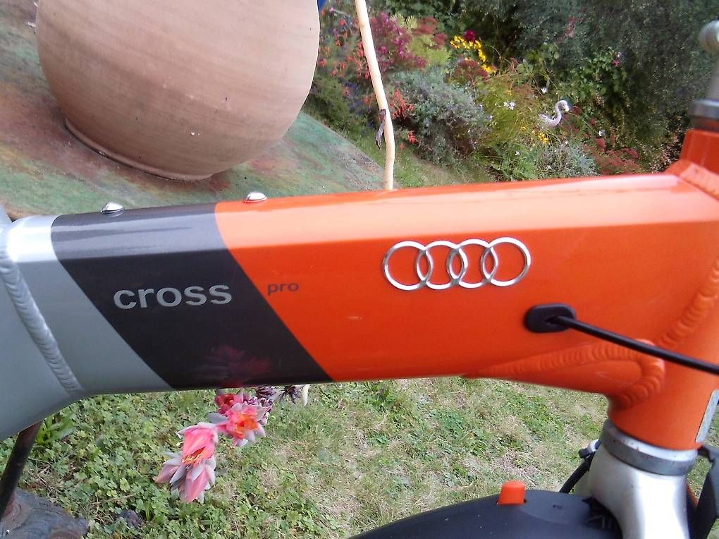 Velos: velo audi cross vtt – Gebraucht aus petit lancy von pilex01 1