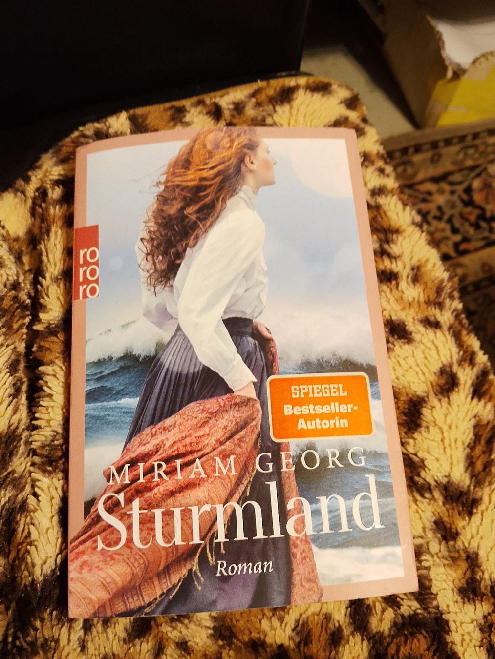 Livres: Sturmland – Neuf (Voir description) à Volken par katz5