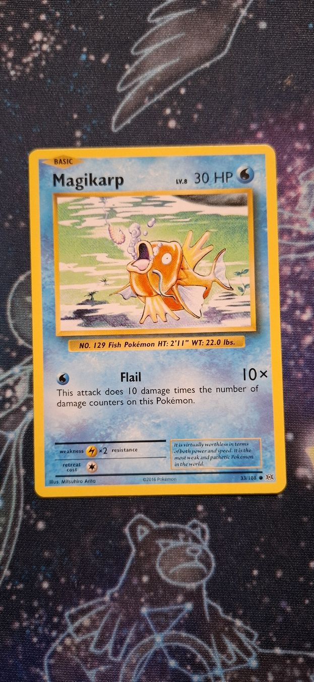 Pokémon Cartes à collectionner: Magikarp 33/108 - Pokemon Evolutions ENG – Neuf (Voir description) à Petit-Lancy par Kara_TCG 1