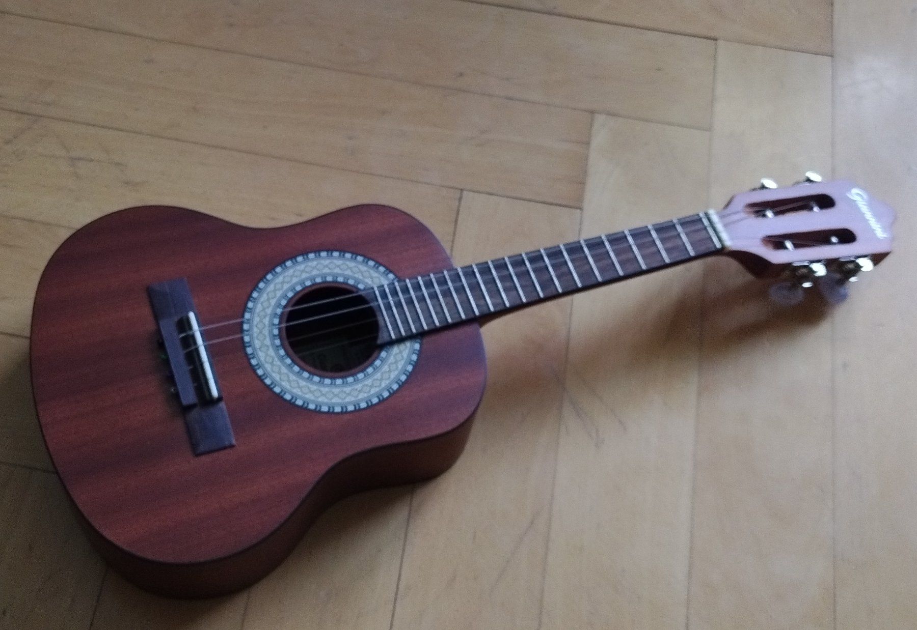 Giannini Musikinstrumente: Cavaquinho acoustique Giannini neuf – Neu und originalverpackt aus Vevey von Djporradao 4