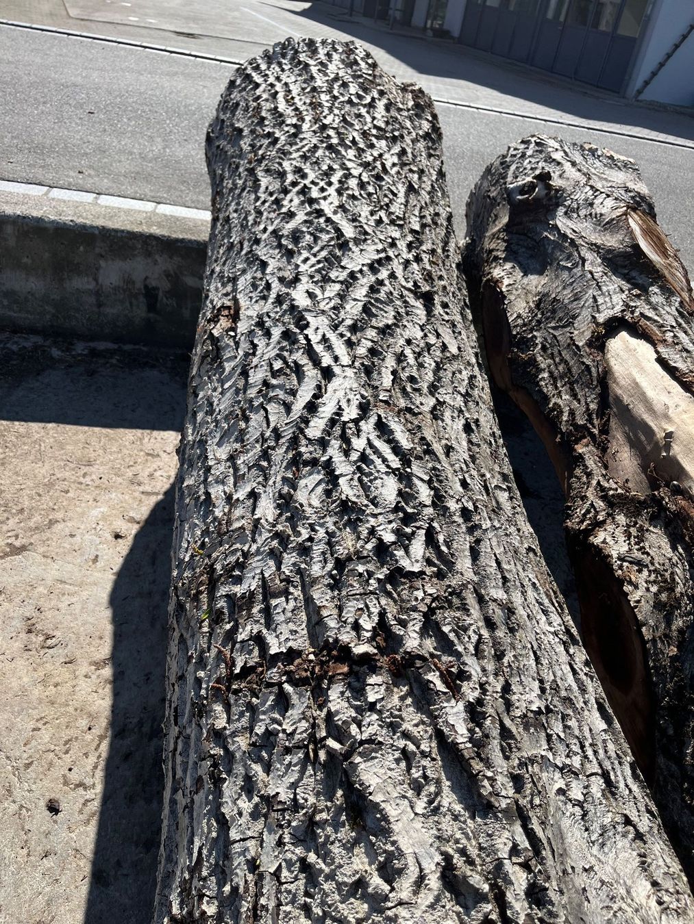 Articoli in legno: Nussbaumstamm, Bretter, Bohlen, Tisch – Nuovo (secondo la descrizione) da Nürensdorf venduto da Peterhakab 2