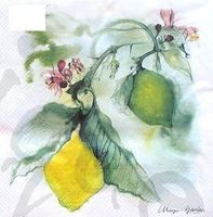 Serviette citrus lemon (1036) 2Stk.