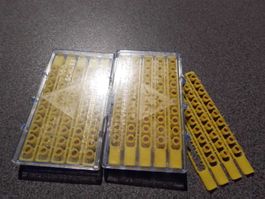 Plastic Streifenamarces