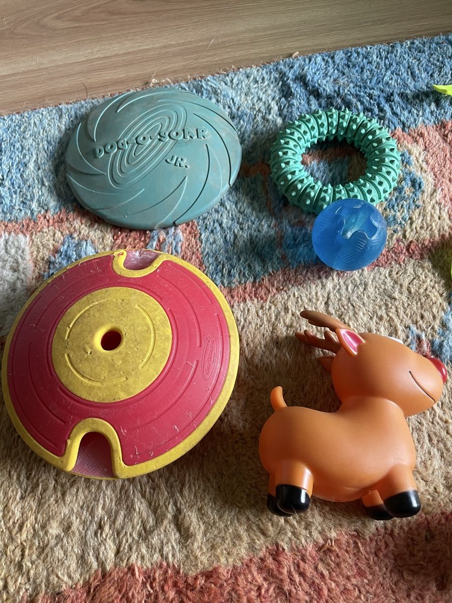 Spielzeuge: Sammelbox Hundezeug – Gebraucht aus Winterthur von nutzer2000 1