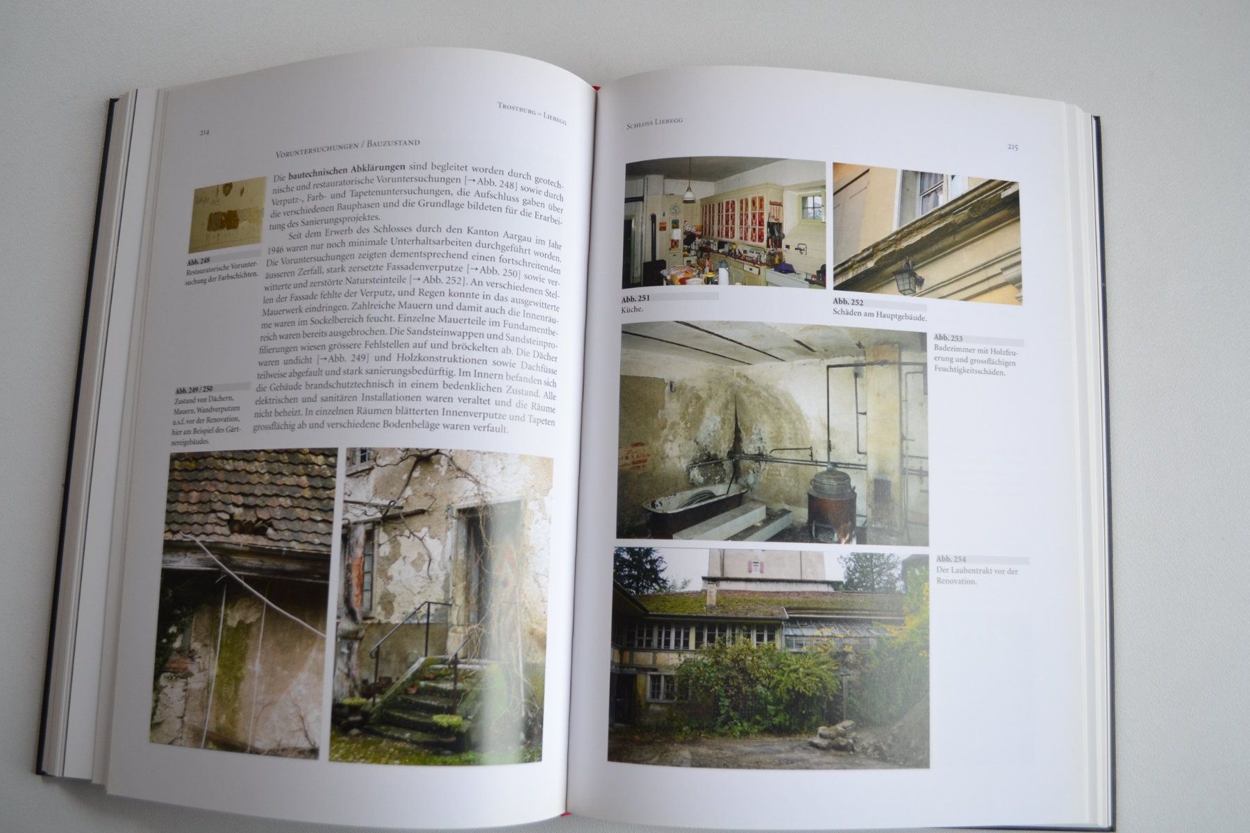Libri: Chronik Liebegg und Trostburg – Usato da Beinwil am See venduto da kajak55 4