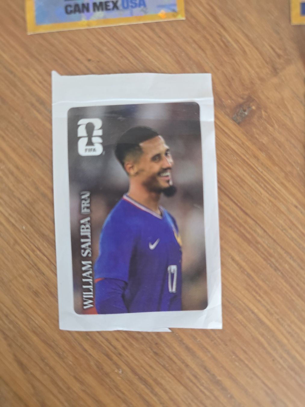 Panini Sammelbilder & Trading cards: WM Panini Sticker – Neu (gemäss Beschreibung) aus Abtwil SG von EIS_AW 1