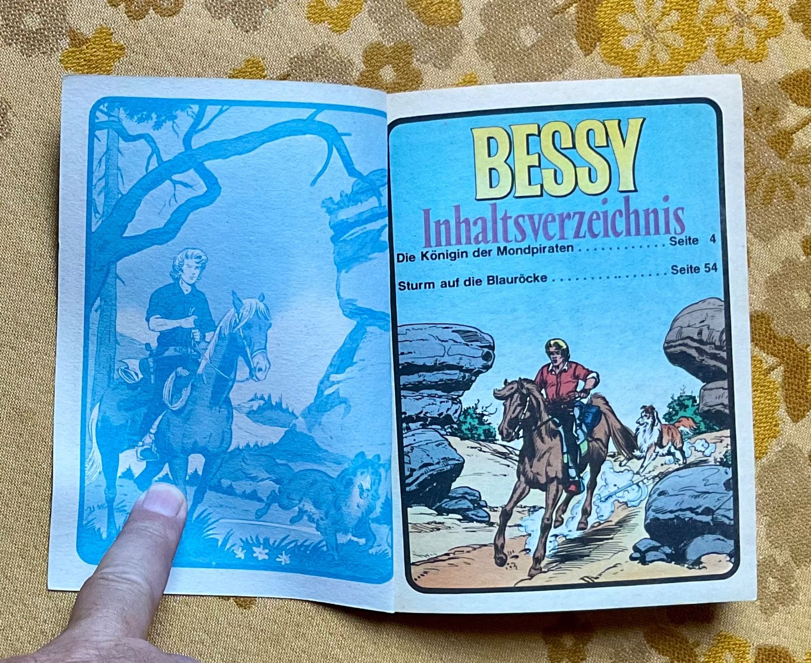 Fumetti: Bessy Taschenbuch Nr 17 – Usato da Endingen venduto da nathan05 2