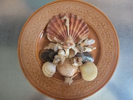 Wand-Teller mit Muscheln und Korallen