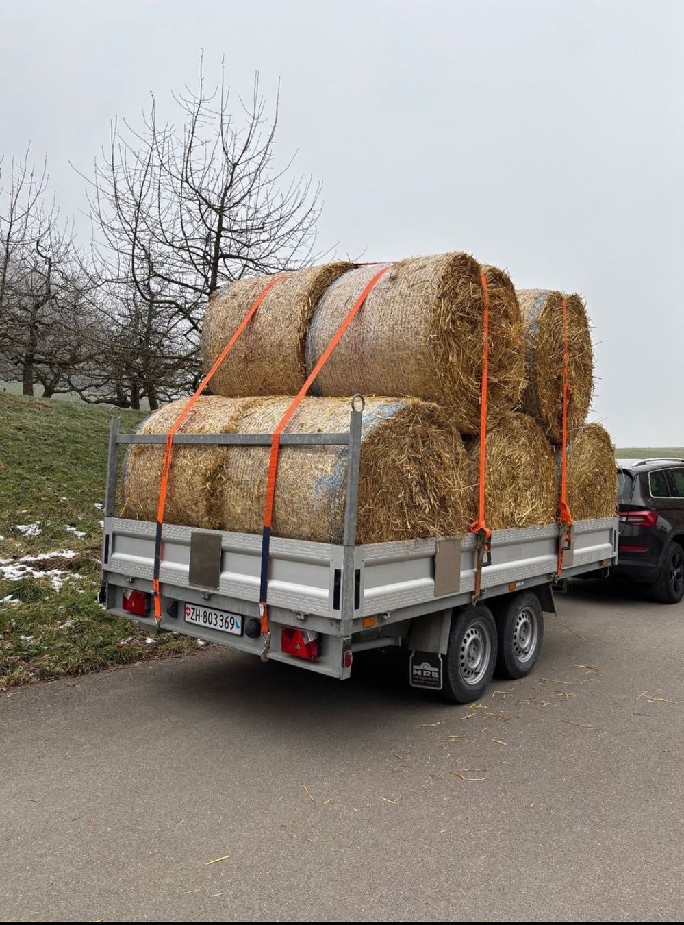 Mangimi: Futterstroh Weizenstroh Rundballen im Spezialmass – Nuovo e nell'imballaggio originale da Embrach venduto da lukaseckert 3
