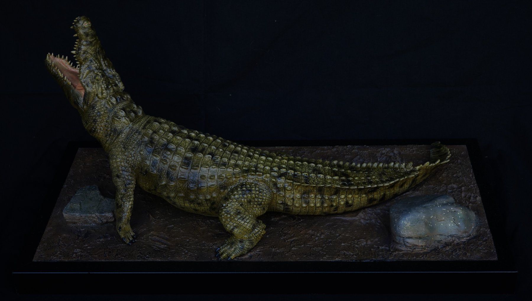 Skulpturen & Statuen: Nilkrokodil von Terry Norton – Gebraucht aus Selzach von Ataraxus 2
