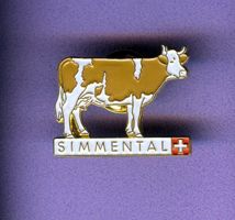 SIMMENTAL  Kuh