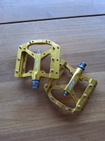 Flat Pedal HT AE05