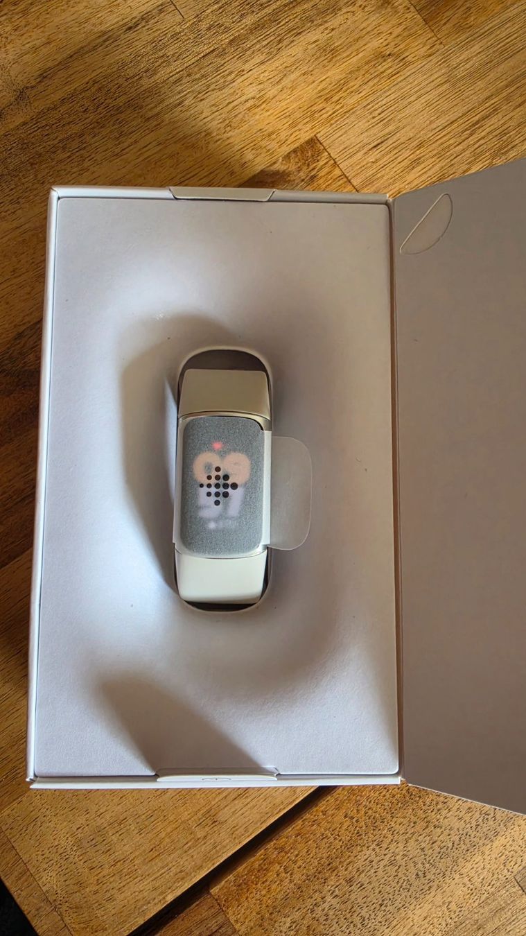 Fitbit Smartwatch: Fitbit charge 6 – Neuf (Voir description) à Crissier par rs.2001 2