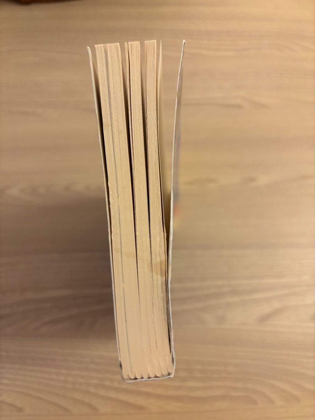 Bücher: Die Wand, Marlen Haushofer – Gebraucht aus Niederrohrdorf von Madoqua 3
