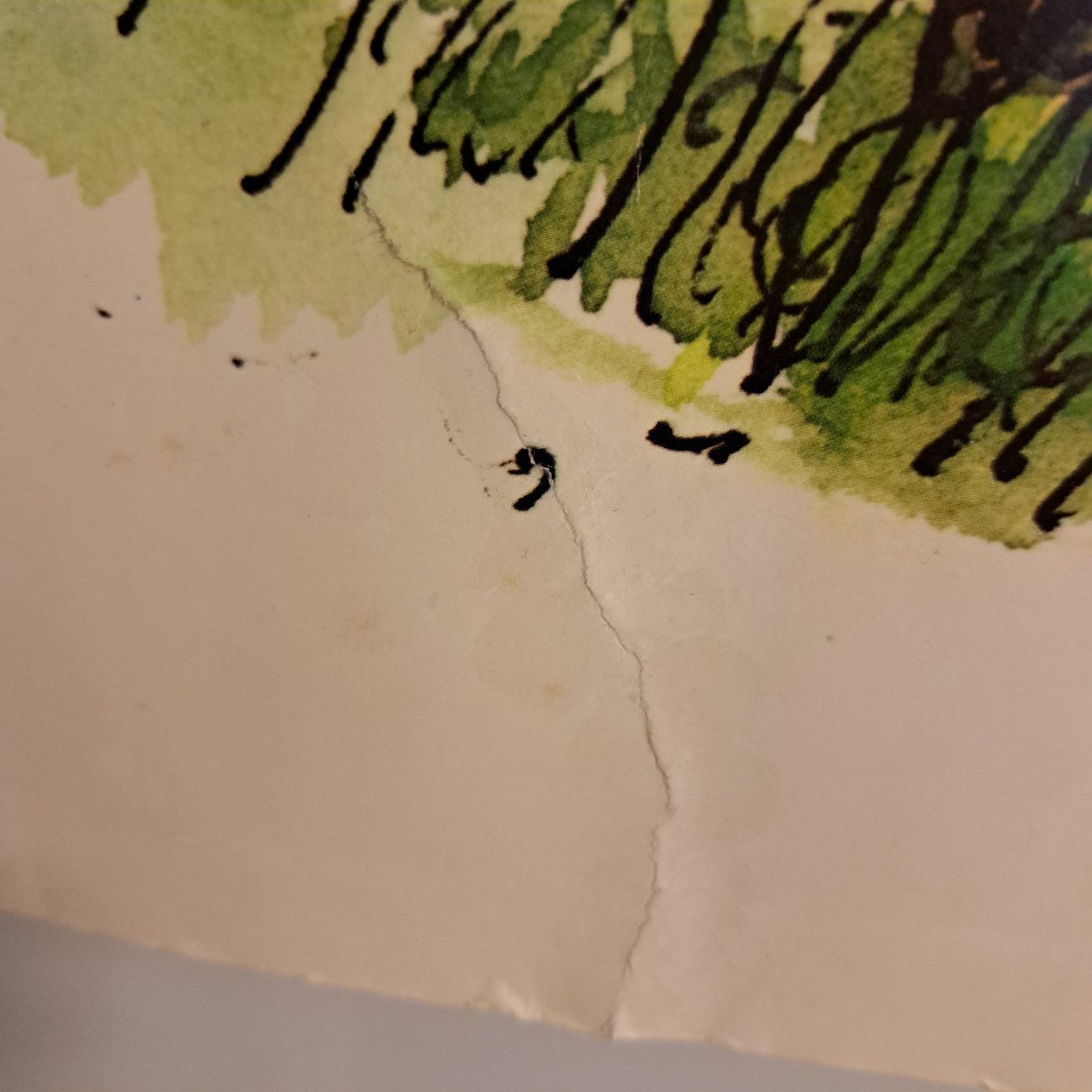 Foto & Immagini: Altes Kinderposter von Janosch – Usato da Grüningen venduto da Tappio 1