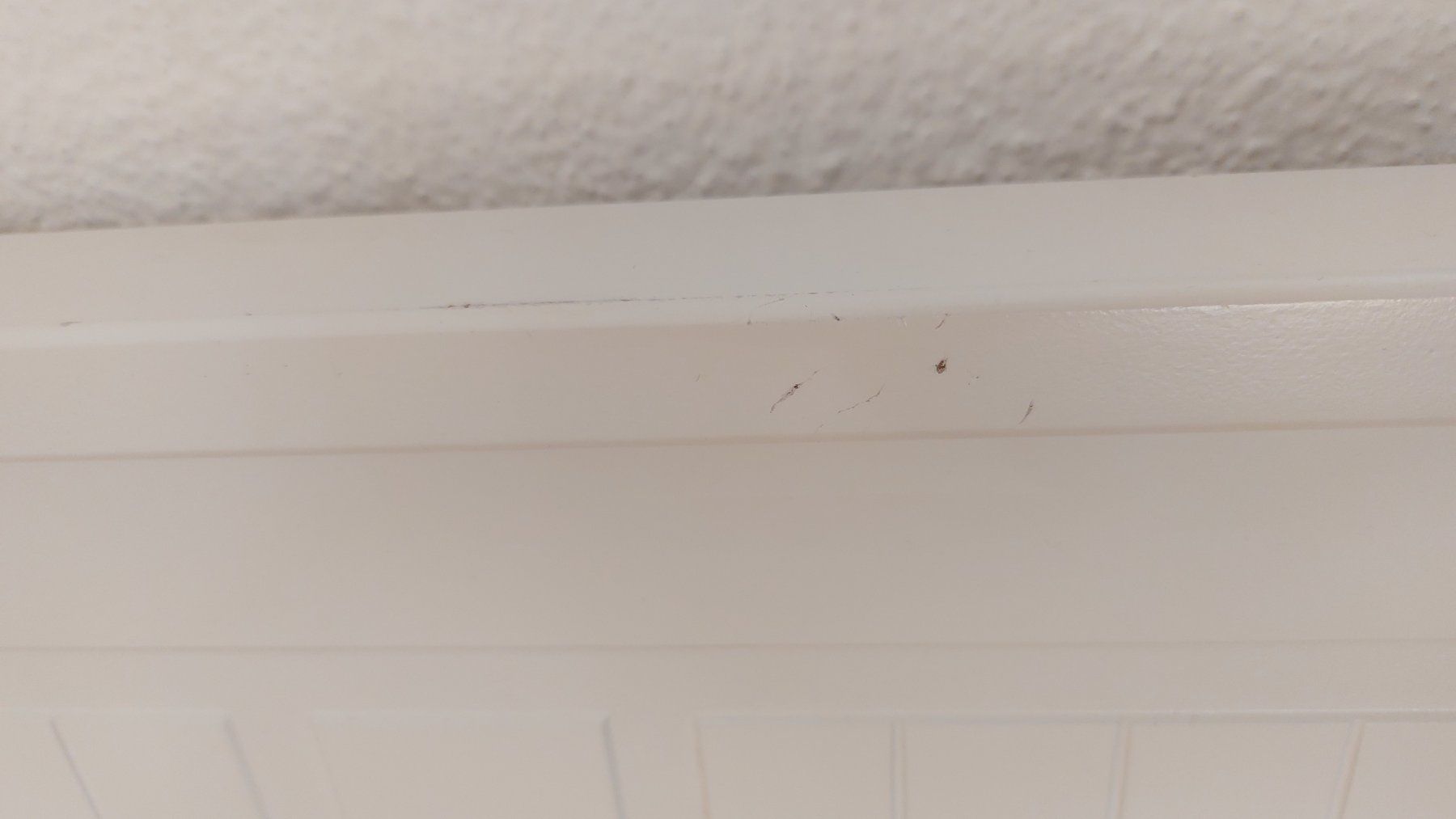 Ikea Betten: Hemnes Tagesbett – Gebraucht aus Bern von AliceGillian 5