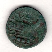 Antik coins  scarce