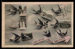AK Les Brenets, Souvenir, Wasserfall, Ortspartien, Postkarte