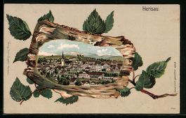 Präge-AK Herisau, Gesamtansicht, Birken