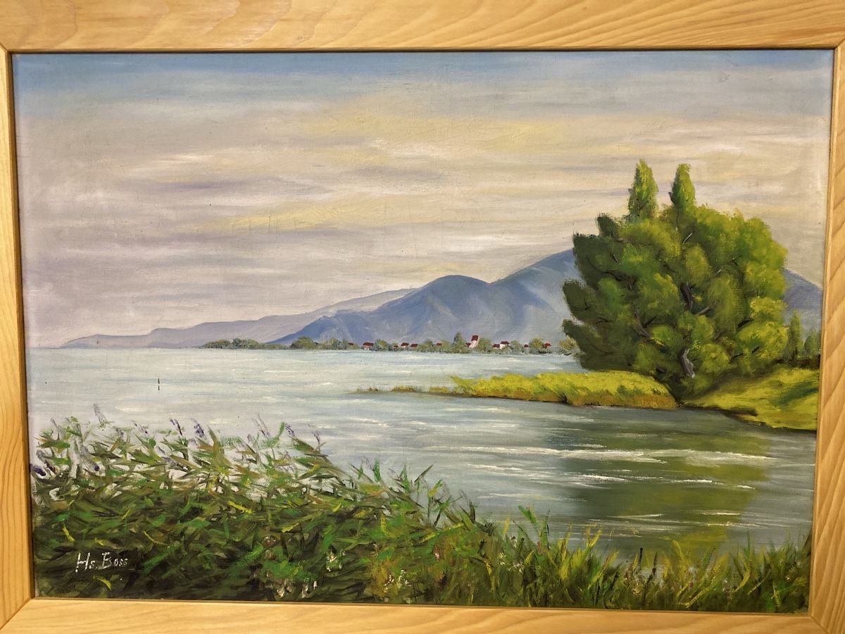 Dipinti: Gemälde Landschaft mit See und Bergen Hr.Boss – Usato da sursee venduto da trilli-tralli 2