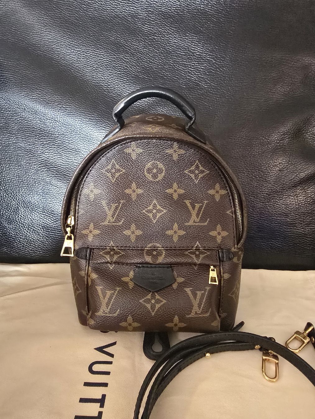 Louis Vuitton Taschen: Louis Vuitton M44873 Palm Springs Mini – Gebraucht aus Gattikon von lavric_d