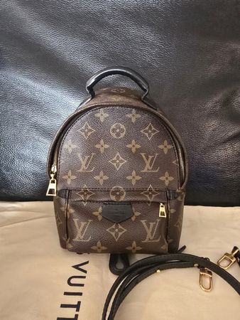 Louis Vuitton M44873 Palm Springs Mini