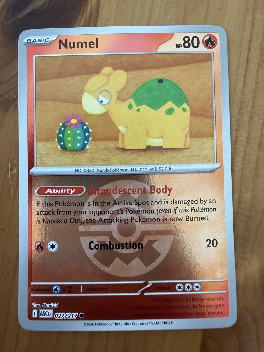 Pokémon Carte collezionabili: Numel (ASC027) – Nuovo (secondo la descrizione) da Vevey venduto da Matx