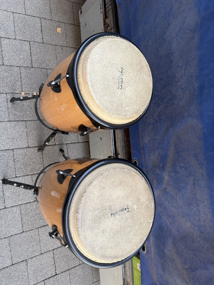Strumenti musicali: Conga (Handtrommel) 2stk – Usato da Fischbach LU venduto da hmc-swiss 1