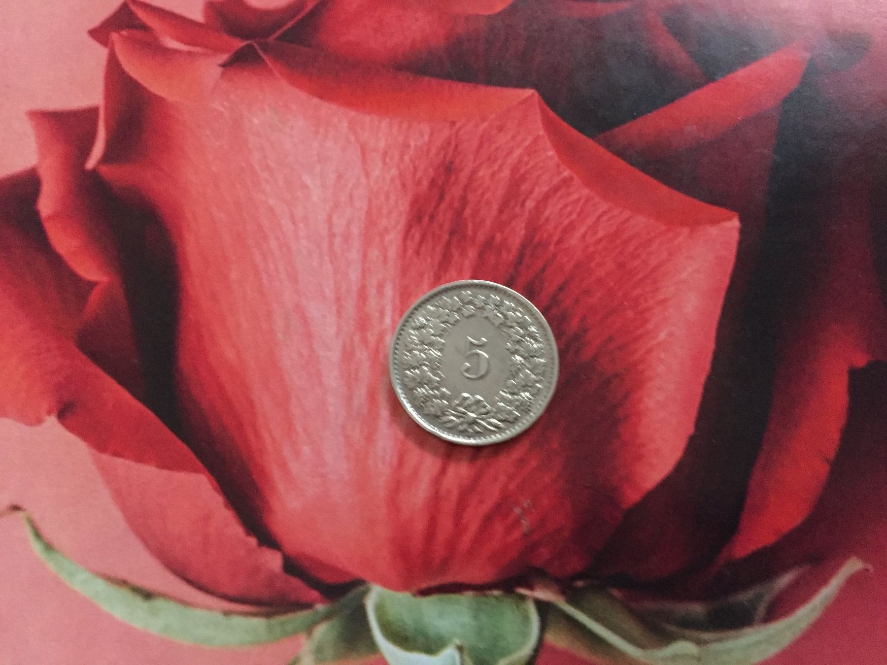Tutti le monete: 5 Rappen 1948 -vz – Usato da Elsau venduto da herbybay 2