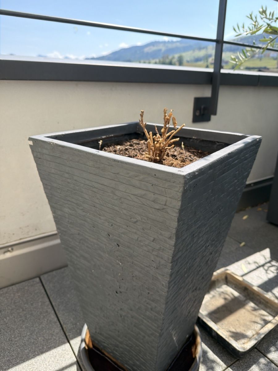 Pots de fleurs: Blumentopf grau Rechteckig – D'occasion à Altendorf par sda_57x2