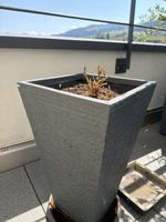 Blumentopf grau Rechteckig