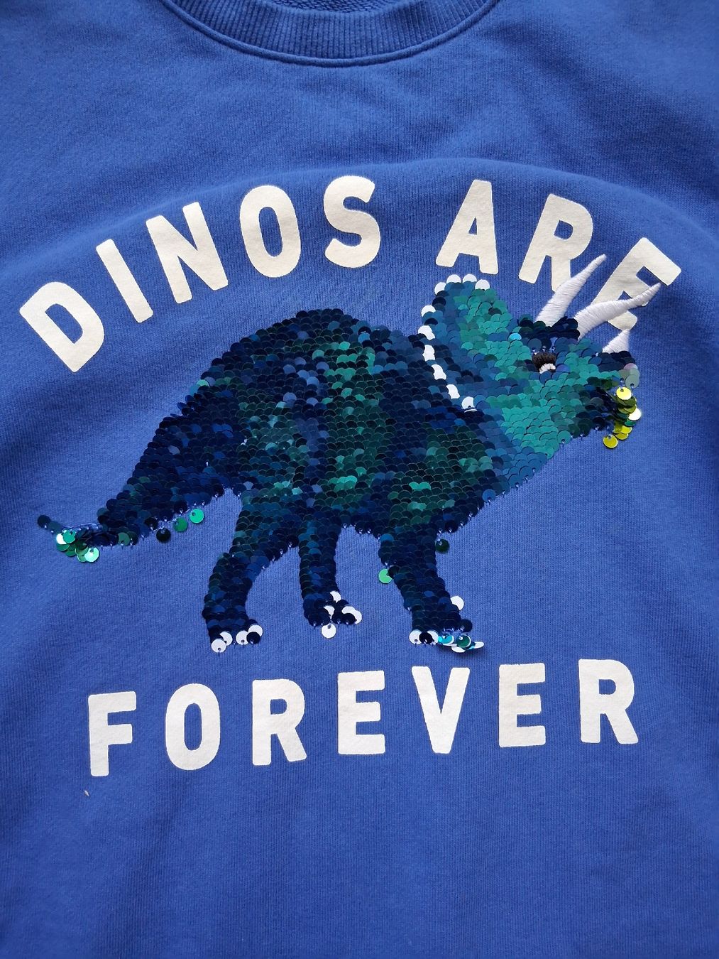H&M Maglioni & Felpe: Kinder blau cooles Pulli Gr. 134 mit Dinosaurier-Paillet – Usato da Zürich venduto da Leders 2