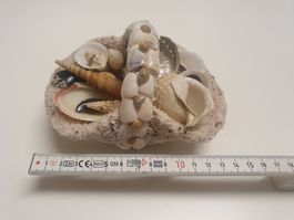 Muschelkorb Deko Sommer 🐚☀️