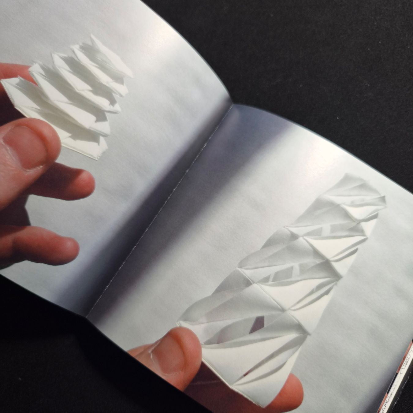 Livres: MURQ, MATT SHILAN – Neuf (Voir description) à freienstein par pointfou 3